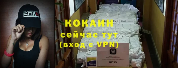 мескалин Богородицк