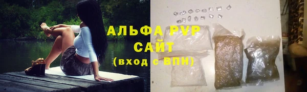 стаф Богданович