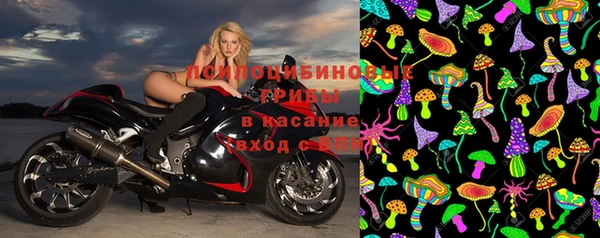 стаф Богданович