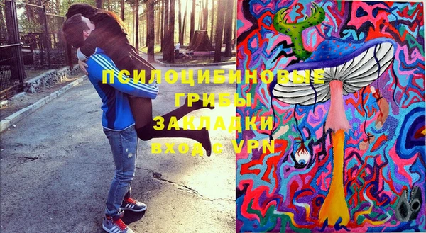 стаф Богданович