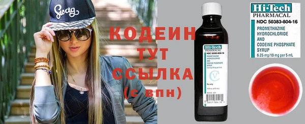 стаф Богданович